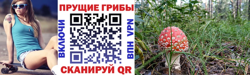 Псилоцибиновые грибы GOLDEN TEACHER  Жуков 